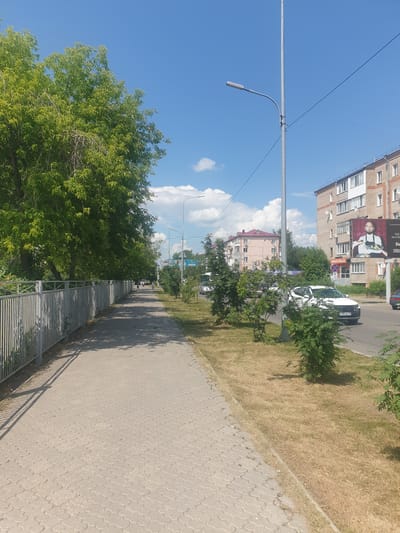 The image depicts a sidewalk in Petropavl, Kazakhstan on a sunny day. A light gray metal fence runs along the left side of the sidewalk, separating it from a densely leaved green tree. The sidewalk itself is paved with light gray interlocking concrete tiles that form a repeating pattern. To the right of the sidewalk, dry, yellowed grass lines the street. A white car is driving on the street, and a residential building with multiple windows and balconies is visible in the background. A large billboard with an image of a man holding plates of food is attached to the side of the building. The sky is bright blue with scattered white clouds. A tall, gray lamppost stands near the right edge of the sidewalk, extending upwards towards the sky.