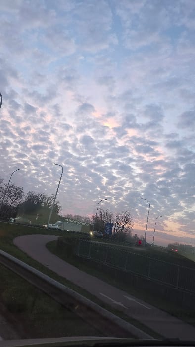 The image depicts a twilight scene, likely either sunrise or sunset, over a road junction or highway segment in Herentals, Belgium. The sky is largely covered by a dense formation of altocumulus clouds, showing hues of pink, orange, and pale yellow near the horizon, fading into blues and greys overhead.

In the foreground, a dark horizontal surface, possibly a vehicle dashboard, is visible at the bottom of the frame. Above this, a metal guardrail runs diagonally from the lower left towards the mid-right.

Above the guardrail and to its right, a dark asphalt path curves. Two white arrows painted on its surface indicate directional flow. This path is situated below a grassy embankment, along which a dark fence is present.

On the upper road segment, several vehicles are visible with their lights illuminated. A white truck or trailer is prominent in the mid-left, exhibiting active headlights. To its left, a smaller white vehicle also has its headlights on. Further to the right, another vehicle with active headlights is visible, and red taillights are discernible in the distance.

Three tall, dark streetlights with curved arms are active, providing artificial illumination to the scene. Sparse trees with visible branches and patches of green grass line the embankments and road margins. A large, indistinct blue object, possibly a sign, is partially visible behind the trees on the right side of the upper road. No specific individuals are discernible in the frame.