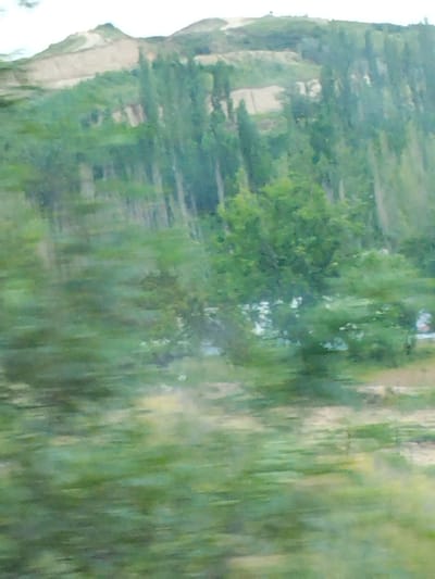 The image shows a blurred view of a landscape, likely captured from a moving vehicle. In the background, a hill or mountain slopes upwards, with patches of lighter earth visible on its side, suggesting possibly some construction or erosion. A dense growth of trees, primarily deciduous with thin trunks and green foliage, covers the lower part of the slope and extends into the foreground. The trees appear to be of varying heights, creating a textured, green mass. The overall impression is one of a rural or natural setting, with no discernible human activity or specific landmarks that would pinpoint a location within the city of Ак-Дөбө, Kyrgyzstan, other than the general mountainous terrain. The blurriness of the image prevents any detailed identification of specific objects or subjects.