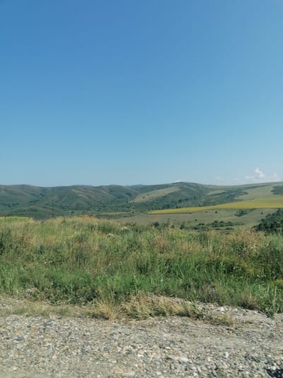 An outdoor, ground-level, wide shot captures a natural landscape under a clear blue sky in Uşanovo, Kazakhstan. The foreground is dominated by a rough, gravelly surface, indicative of a road or pathway. Beyond this, a dense field of green and brown grasses and weeds stretches out, with some taller, dry stalks interspersed. In the mid-ground, rolling hills covered in green vegetation and scattered trees create a textured, undulating terrain. A field of bright yellow flowers, likely sunflowers, is visible on the left side of the mid-ground. Further in the distance, more hills extend towards the horizon, with the landscape appearing to be predominantly rural and undeveloped. A single, thin utility pole is visible on the left side of the frame, standing against the backdrop of the hills. There are no people or animals present in the image.