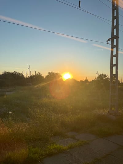 The image depicts a sunset over a rural landscape in Timashevsk, Russia. The sun, a bright orb with a visible lens flare, is low on the horizon, casting a warm, golden light across the scene. The sky is a clear, pale blue, transitioning to a soft yellow near the sun.
The foreground features a pathway paved with rectangular concrete slabs, bordered by overgrown grass and wildflowers. This suggests a natural, perhaps slightly unkempt, environment. In the midground, a line of trees forms a dense silhouette against the bright sky.
Dominating the left side of the image are tall, dark structures resembling power line poles and their associated wires. These are set against the clear sky and extend upwards, indicating infrastructure present in the area. The wires are thin and black, crisscrossing the frame.
The overall mood is serene and peaceful, evoking the calm of a late summer or early autumn evening. The warm light and the natural setting contribute to a feeling of tranquility. No people are visible in the image, and there is no discernible text. The scene appears to be outdoors, likely near a rural road or railway line due to the presence of the power lines.