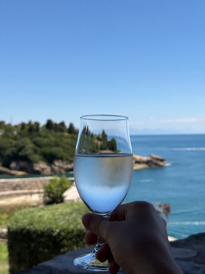 A person's hand holds a clear wine glass filled with a pale, transparent liquid, possibly water or white wine, against a backdrop of a bright blue sky and the sea. The glass is partially frosted, indicating it's cold. The background is a coastal landscape, with lush green trees covering hills that descend towards the turquoise water. Rocky outcrops are visible along the coastline, and in the distance, faint mountains can be seen on the horizon. The setting appears to be a scenic viewpoint, potentially in Ulcinj, Ulqin, Montenegro, given the Mediterranean vegetation and coastline. The lighting suggests it is daytime, likely sunny.