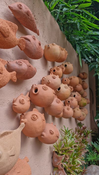 This image captures a decorative outdoor wall in Mae Rim, Thailand, adorned with numerous terracotta fish sculptures. The sculptures, varying in size and detail, are mounted in a cascading pattern on a textured, light-colored wall. Most of the fish are round and bulbous, with protruding eyes and openings resembling mouths or gill slits, giving them a whimsical, almost pufferfish-like appearance. Some fish are more elongated, with visible fins and textured scales.
The wall is partially obscured by lush green foliage, suggesting a garden or natural setting. A few small potted plants with spiky green and reddish leaves are also visible at the bottom right, planted in what appear to be small terracotta pots that are also part of the wall's decoration. The lighting indicates it is daytime, with soft shadows cast by the sculptures. There are no people or animals present in the scene, and the focus is solely on the arrangement of the ceramic fish and the surrounding environment.