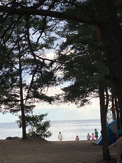 This image depicts a beach scene on a cloudy day, with a body of water, likely the Baltic Sea, in the background. Several people are present on the sand, some walking, some standing in groups. A tent is partially visible on the right side of the frame, suggesting a camping or recreational area. The foreground is dominated by the shadows of trees, with their branches and foliage creating a dark silhouette against the lighter sky and sea. The overall impression is one of a quiet, outdoor gathering by the water. The location is identified as Baltiiskoe, Russia.