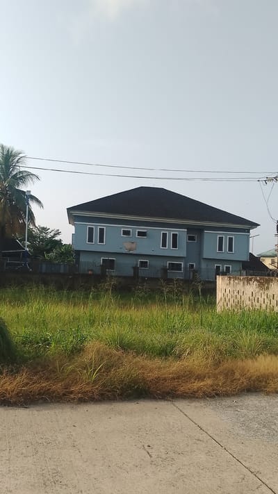 The image shows a two-story residential building in Effurun, Nigeria. The building is light blue with a dark roof and white-framed windows. There's visible damage to the facade on the second floor. A low fence surrounds the property, partially obscured by tall grass and weeds in the foreground. A palm tree is visible to the left of the building. Utility poles and wires are overhead. A paved road runs in the lower portion of the frame.