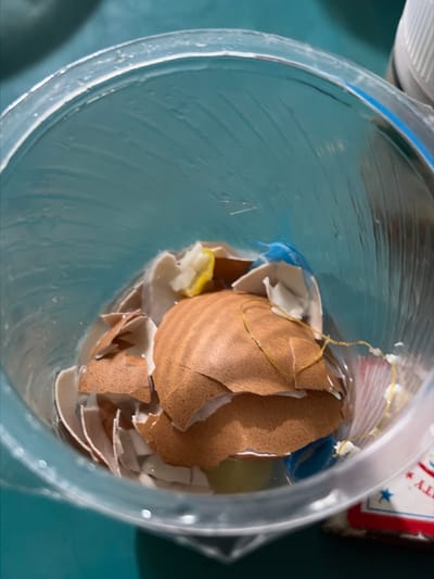 The image displays the interior of a clear plastic cup containing a mixture of water and fragmented eggshells. There is also a small piece of yellow citrus peel and a blue plastic cap submerged in the water. The cup's interior surfaces show some water droplets and a slightly cloudy texture. The exterior of the cup is visible, revealing a textured, teal-colored surface that appears to be a table or countertop. A portion of a red, white, and blue patterned object, possibly packaging or a label, is visible in the lower right corner. The image does not contain any information or visual cues that would suggest a location in Tupah, Indonesia, or any specific city.
