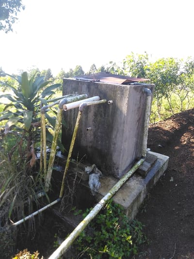 The image displays a weathered concrete water tank or cistern situated in Ban Lao Ta, Laos, under bright daylight conditions. The roughly rectangular structure, approximately 1.5 meters in height, exhibits a concrete finish with visible green algae or moss growth on its surfaces. Several white PVC pipes are integrated into the system; multiple pipes extend horizontally from the front face, with some curving downwards into a dark, recessed area of damp ground and vegetation to the left of the tank. A prominent, algae-covered PVC pipe runs horizontally across the lower foreground, emerging from the base of the tank on the right. The tank's top features a dark, possibly metal, lid that is slightly ajar or angled.
To the immediate left of the concrete structure, dense green vegetation, including large-leafed plants and tall grasses, thrives in moist ground. To the right, disturbed dark earth or soil mounds are present, separated from distant foliage by what appears to be a wire fence. The background consists of a clear, bright sky above a horizon line defined by various green trees and bushes. A crumpled piece of light-colored material, possibly fabric or plastic, is visible at the base of the concrete structure on the right side. No people are present, and no active interactions or discernible actions are depicted.
