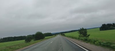 The image depicts a view from a vehicle traveling along a paved road through a rural landscape in Niva, Russia. The road curves gently ahead, with white dashed lines marking the lanes. On either side of the road are expansive, vibrant green fields, suggesting it is summertime. The fields are dotted with scattered trees, and in the distance, a dense forest forms a dark green line against the horizon. The sky is overcast with heavy, gray clouds, indicating a cloudy or possibly rainy day. The overall mood is serene and somewhat subdued due to the cloudy weather. There is a single dark-colored car visible in the distance on the road. The image captures a sense of travel and the vastness of the natural landscape.