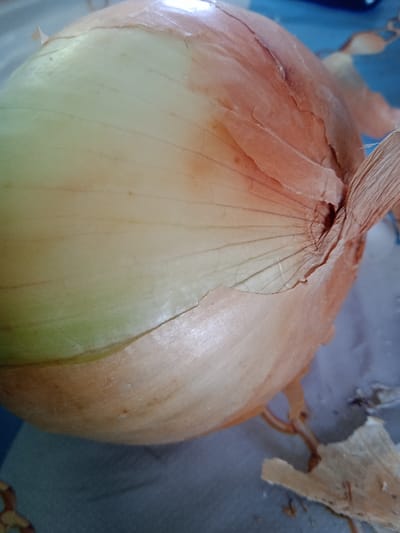 The image shows a close-up, overhead view of a single yellow onion with some of its dry outer skin peeling away. The onion is resting on a patterned surface, possibly a tablecloth, with a blue background visible in the upper right corner. The onion is predominantly pale yellow with areas transitioning to a light pinkish-orange towards the top where the papery skin is more prominent. The surface underneath has a light gray and blue mottled pattern. There are no people or animals visible in the image, and no discernible connection to the city of Koçkor-Ata, Kyrgyzstan. The scene appears to be a still life arrangement of the onion.