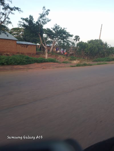 The image depicts a roadside scene in the city of Jibilik, Nigeria. A paved road occupies the foreground, showing motion blur, indicating the photo was taken from a moving vehicle. On the left side of the road, a rustic brick building with a corrugated metal roof is visible. Beyond this building, several trees with dense foliage are present, and some clothing is seen hanging on a line. To the right of the trees, a thick cluster of green, succulent-like plants grows. A tall, slender wooden pole stands in the background, and the sky is a pale, clear blue. The overall impression is that of a rural or semi-urban environment in Nigeria.