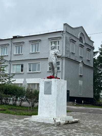 In the city of Lysva, Russia, a statue of Vladimir Lenin stands prominently in front of a grey, multi-story building. The statue is made of silver-colored material and depicts Lenin in a suit, holding what appears to be a folder or book. A wreath of red roses encircles the base of the statue. A small white dog with brown markings is standing on the paved ground near the statue's pedestal. The building behind the statue has multiple windows and architectural details typical of Soviet-era construction. The sky is overcast, and the surrounding area is green with trees and bushes.