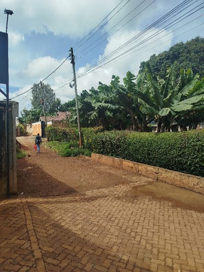 The image depicts a pathway scene in Kihara ward, Kenya, under a partially cloudy sky. The foreground features a brown interlocking brick path, exhibiting wet areas and a puddle on the right, which transitions into a reddish-brown dirt path leading into the midground. A low, weathered concrete retaining wall runs along the right edge of the brick path.

One individual, seen from behind, walks away from the viewer on the dirt path. The person is dressed in a dark blue long-sleeved top and dark trousers, carries a blue backpack, and holds a red object in their left hand.

To the right of the dirt path, a dense green hedge borders the area. Behind this hedge, a line of large-leafed trees, consistent with banana or plantain plants, extends towards the midground. A wooden utility pole, equipped with multiple overhead power lines, stands in the midground, slightly right of the scene's center. Numerous utility lines are strung across the upper portion of the frame.

In the midground and background, partially obscured by foliage, are several single-story residential-style buildings with reddish-brown tiled roofs and light-colored walls. One building features a distinct orange-brown door or wall section. Further vegetation, including taller trees, is visible in the background, particularly on the right. A dark, vertical structure, possibly metallic, is partially visible on the far left edge of the foreground.