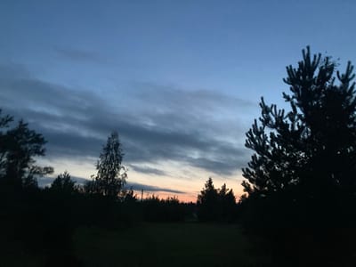 The image shows a natural outdoor scene at dusk, likely in the village of Mikhanavichy, Belarus. The sky is a gradient of deep blue at the top, transitioning to lighter blues and a hint of orange near the horizon. Wispy, dark clouds are scattered across the sky. In the foreground and midground, the silhouettes of various trees are visible, including evergreen pines and deciduous trees. The trees form a dense line across the lower portion of the image, with some taller trees standing out, such as a slender deciduous tree in the center left and a large pine tree on the right. The ground beneath the trees appears to be a dark, grassy area. The overall impression is one of a peaceful, natural landscape at the end of the day.