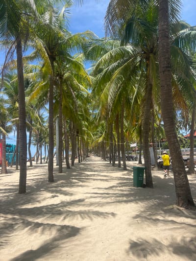 The image captures a sandy beach lined with a dense row of mature palm trees, casting long shadows across the sand under a bright, sunny sky with scattered clouds. The perspective looks down a pathway bordered by the trees, suggesting a tropical beach destination. In the background, a turquoise bus or vehicle is visible on the left, along with other beachside structures and parked vehicles. A person wearing a bright yellow shirt and dark shorts walks away from the camera on the right side of the pathway, near a green trash bin. The overall scene evokes a typical beach resort atmosphere. The location is identified as Hoi An, Vietnam, a city known for its beaches and coastal attractions.