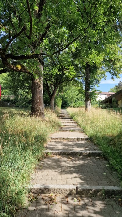 The image depicts a stone pathway lined with lush green trees and tall, dry grass. The pathway, made of light gray paving stones, curves gently to the right as it recedes into the distance. The trees, with their dense foliage, cast dappled shadows on the path. Some of the trees are large and mature, with thick trunks, while others are younger and thinner. The grass, which appears dry and has a yellowish hue, grows along the edges of the pathway. In the background, a building with a light-colored facade and a brown roof is visible, partially obscured by trees. The sky is a clear blue with a few wispy clouds. The lighting suggests it is daytime, with the sun casting strong shadows, indicating a bright and sunny day. The scene appears to be in a park or a residential area with ample greenery, suggesting a peaceful and natural setting. The orientation of the image is vertical. No people or specific activities are visible. The location is Villingen-Schwenningen, Germany.