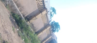 The image captures an upward-angled view of a concrete structure with latticed openings, resembling a wall or building facade. Greenery, likely grass and small plants, grows along the base and sides of the structure, indicating an outdoor setting. The sky is bright and appears to be clear, with a light blue hue at the top of the frame. Trees with dense foliage are visible behind the concrete structure. The scene is located in Kwamba, Nigeria.
