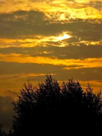 The image shows a silhouetted tree line against a dramatic sunset sky. The sky is filled with layers of clouds, illuminated from behind by the setting sun, casting a warm, golden-orange glow. The sun itself is partially obscured by a thick cloud band in the upper middle of the frame, creating a halo effect. The trees in the foreground are dark and indistinct, their branches creating a jagged silhouette against the bright sky. There are no people, animals, or man-made structures visible in the image. The scene appears to be in a natural or semi-natural environment, possibly on the outskirts of a town or city. The location is specified as Pawłów, Poland.