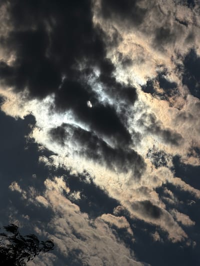 The image is a close-up, low-angle shot of a cloudy sky. Dark, ominous clouds dominate the upper portion of the frame, with patches of lighter, illuminated clouds interspersed, suggesting sunlight breaking through. A sliver of the moon is visible in the upper right quadrant, partially obscured by clouds. In the lower left corner, the silhouette of a tree branch with delicate foliage is visible, its leaves appearing to be moved by wind. The lighting creates a dramatic, almost turbulent atmosphere. There are no people or specific landmarks of Chirchik, Uzbekistan, visible in the image.
