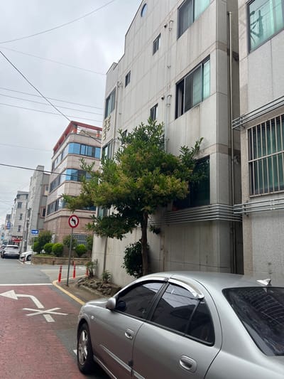 This is a street-level, eye-level photograph taken on a cloudy day in Geoje-si, South Korea. The foreground is dominated by the side of a silver sedan, angled towards the viewer, parked on the right side of the road. The road surface in the foreground is red with white lane markings indicating a left turn and a straight path. To the left of the car, a sidewalk and a street with other vehicles are visible, including a white SUV further down the road.
The background features a row of multi-story buildings with grey, speckled facades. The architecture is modern, with numerous windows, some of which have metal grates. A street sign with Korean text and a traffic sign with a red circle and a black arrow indicating "no left turn" are also visible on the left side of the street.
A tree with green leaves and small light-colored flowers is situated between the buildings and the road, partially obscuring some of the building details. Power lines crisscross the sky above the buildings. The overall impression is of a typical urban street scene.