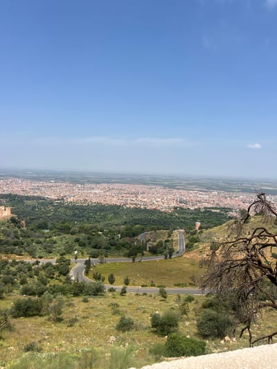 The image shows an aerial view of Beni Mellal, Morocco, from a high vantage point. The sky is clear and blue. A dense urban area fills the center of the image, transitioning into surrounding green space and vegetation. A winding road is visible on the right, lined with trees and bushes. Part of a dry, branching tree overhangs the scene from the top right corner. A white wall section is seen on the lower right.