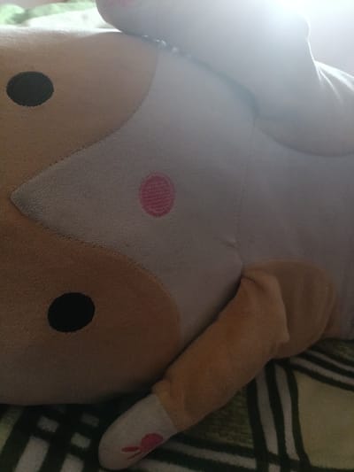 A close-up shot focuses on a plush toy, likely a hamster or similar small animal, lying on a checkered blanket. The toy is primarily light brown and off-white, with a large, circular black eye visible on its left side, and a smaller pink dot on its right. Its right arm is bent and resting on the blanket, and its paw has a pink embroidered detail that resembles a bow or butterfly. The lighting suggests it's daytime, with a bright glare coming from the upper right of the image, possibly from a window or a light source. The background is soft and out of focus, hinting at a comfortable indoor setting. The overall impression is one of softness and warmth, with the toy appearing to be cuddled or resting.