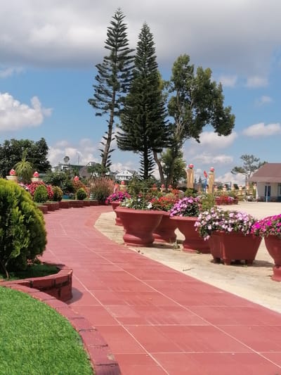 The image shows a paved walkway in what appears to be a park or garden area in Lộc Quý, Vietnam. The walkway is made of reddish-pink square tiles, laid in a grid pattern. A curved brick border separates the walkway from a section of green artificial turf on the left side of the frame. Along the right side of the walkway are several large, reddish-brown planters filled with a variety of flowers in shades of pink, white, and red.
In the background, there are several tall pine trees and other deciduous trees. Beyond the trees, the scene includes buildings with light-colored walls and brown roofs, suggesting a residential or institutional area. There are also decorative pillars with red spherical ornaments on top, and a metal fence in the distance. The sky is blue with scattered white clouds. The lighting suggests it is daytime, likely midday, with bright sunshine. No people are visible in the image.