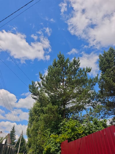 The image depicts a scene in the village of Khlevino, Russia, characterized by a bright blue sky with scattered white clouds. Several power lines traverse the upper left portion of the frame. In the foreground, a vibrant red corrugated metal fence runs horizontally across the bottom right. Behind the fence, lush green foliage and trees dominate the midground, including prominent pine trees with their distinctive needle-like leaves. To the far left, a portion of a residential building with a white roof and gray siding is visible, alongside more greenery and power poles. The overall impression is a rural or semi-rural setting under a partly cloudy sky. No people are present in the image.