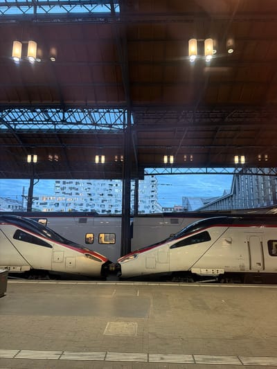 Two white and red high-speed trains are coupled together in a train station in Basel, Switzerland. The station's roof is supported by a steel structure with rows of lights. A building with numerous windows is visible through the station roof. The station platform is made of cobblestones with white safety stripes. The scene appears to be at twilight. No people are distinctly visible.