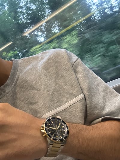 The image shows a close-up of a person's arm wearing a watch. The person is wearing a grey hooded sweatshirt. The background is blurred, showing a reflection of trees and light streaks, suggesting the person is likely in transit, perhaps on a train or in a car, as the scene appears to be moving. The watch is a prominent feature, with a dark blue face, gold and silver metal band, and a rotating bezel. The time on the watch is approximately 10:08. The lighting suggests it is daytime. The overall impression is casual and possibly mundane, focusing on personal accessories and a sense of movement. No text is visible in the image.