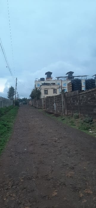 A dirt road stretches into the distance, lined with vegetation. A building stands to the left, featuring multiple stories and water tanks on the roof. A stone wall runs parallel to the road, adding to the urban landscape. Power lines cut across the sky. The overcast sky suggests a cloudy day.