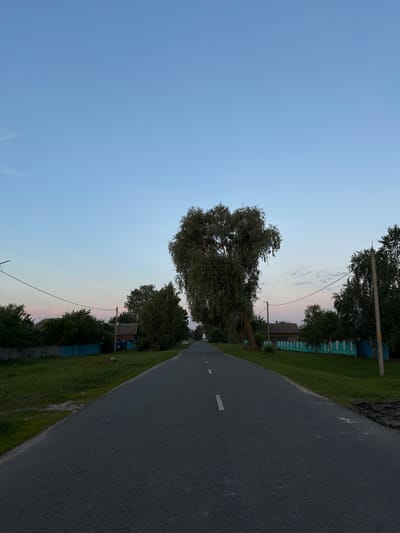 The image depicts a rural road in Буркоўскі сельскі Савет, Belarus, during the twilight hours. The road, paved with asphalt, stretches into the distance, marked by a white line down the center. Flanking the road on both sides are grassy verges and mature trees. On the left side of the road, a wooden fence painted turquoise runs along the edge of a property with a house visible behind it. On the right side, another turquoise fence delineates a similar property, with a wooden house and trees. A large, mature tree with a distinctive, somewhat heart-shaped canopy stands prominently in the middle ground, leaning slightly towards the road. Telephone poles and wires are visible along the roadside. The sky above is a gradient of pale blue, transitioning to a soft pink and white near the horizon, suggesting the end of daylight. No people or animals are present in the scene.