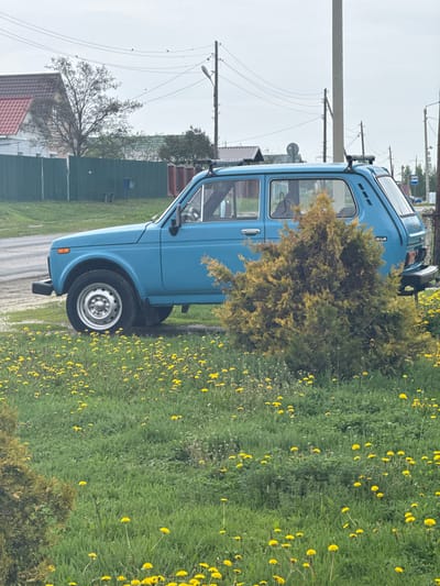 The image shows a blue Lada Niva parked on a street with a field of dandelions in Ленино, Russia. A small evergreen tree partially obscures the car's driver-side door. Power lines and wooden poles are visible in the background. A gray fence and residential buildings are also present. The sky appears overcast.