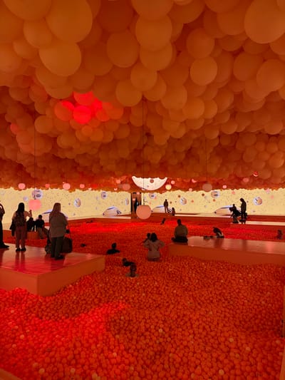 The image shows a large room with a ceiling covered in hundreds of orange balloons. It is a contemporary art installation located at the Exploratorium in San Francisco, California (latitude: 37.803, longitude: -122.449).  The floor is covered in a sea of orange balls. There are several people scattered throughout the space, some walking, some sitting, and some interacting with the installation. Some of the people are wearing brightly colored clothing. The room is lit by ambient light coming from overhead lights and the light reflecting from the orange balls.  There are also several white circles hanging from the ceiling. There is a large white circle in the middle of the room, surrounded by a ring of smaller circles. The floor is painted white.  A couple of people are sitting on a ledge on the right side of the image, a small group of people are standing in the left corner of the image, and several people are standing or sitting in the center of the room.  Most of the people are interacting with the orange balls, either by sitting in them, walking through them, or throwing them in the air.  The installation is designed to evoke a sense of childlike wonder and play.
