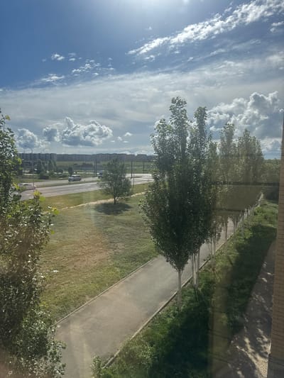 The image depicts a view from a window overlooking a residential area. In the foreground, a row of slender trees with white-painted trunks lines a paved pathway. Beyond the pathway is a grassy area, and further in the distance, a road with two vehicles is visible. Across the road, a line of apartment buildings stretches across the horizon. The sky is blue with scattered white clouds, and the sun is casting bright light and shadows. The scene appears to be a typical urban environment, possibly in the city of Aktobe, Kazakhstan, given the architectural style of the buildings and the general landscape. There are no people visible in the image.