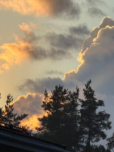 This media file is an image of a sunset sky over Kerro, Russia. The sky is filled with dramatic clouds, some of which are illuminated by the setting sun, creating a warm, golden glow. Other clouds are darker and more gray, suggesting the presence of storm clouds or simply denser formations. Silhouetted against the sky are the dark branches of trees, which appear to be evergreen, their needles sharp and distinct. The image is oriented vertically, with the horizon line not visible, emphasizing the expanse of the sky. A dark, angular object, likely the edge of a building or roof with gutters, is visible in the lower right corner, suggesting a residential or built-up area. The overall impression is one of natural beauty and the dramatic interplay of light and shadow as day turns to night. The time of day is clearly sunset, indicated by the warm, diffused light. The weather appears to be mixed, with both bright and dark clouds. There is no visible text in the image.