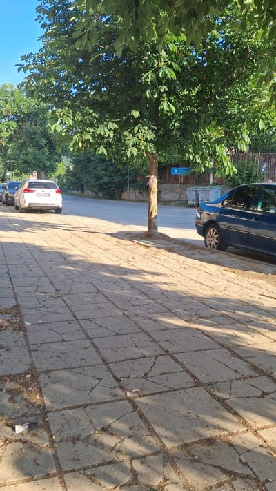 This image presents a static outdoor scene in Gotse Delchev, Bulgaria, captured on a clear day with a bright blue sky. Strong, low-angle sunlight casts long, distinct shadows from trees and a vehicle onto the foreground. The immediate foreground consists of a concrete sidewalk paved with square slabs, many exhibiting cracks and areas of deterioration, with scattered dirt and small debris.
A prominent tree with dense green foliage, likely a horse chestnut, occupies the central and upper-left portions of the frame. Its trunk, wrapped with red and white fabric, is visible in the lower-mid right, casting significant shadows across the sidewalk. Adjacent to the sidewalk runs a paved asphalt road.
Two vehicles are parked on the road:
1. A white Kia SUV, possibly a Sportage, is parked on the left side of the road, facing away from the viewer. Its rear license plate, partially visible, displays "PB 6537 CA," indicating registration in Plovdiv Province, Bulgaria.
2. A dark blue sedan, appearing to be a Peugeot 406, is parked on the right side of the road, next to the sidewalk, with only its rear-right section visible.
In the mid-background, a blue directional sign featuring a left-pointing arrow and the Cyrillic text "Петрич" (Petrich) is mounted, confirming the Bulgarian location. Two light-colored waste bins are visible behind the blue sedan, positioned near a fence. The background consists of dense green foliage and trees. No individuals are present in the image, and no actions or interactions are depicted.