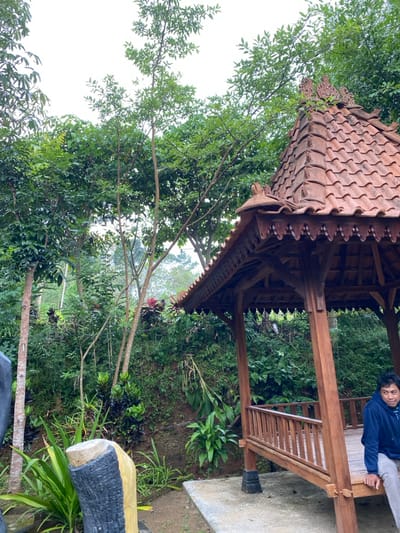 A wooden gazebo with a red tiled roof is located in a lush green tropical jungle in the city of Kecamatan Manyaran, Indonesia (latitude: -7.826, longitude: 110.816). The gazebo has a wooden railing and a wooden floor. A man in a blue sweater sits on the wooden floor of the gazebo. The gazebo is surrounded by dense tropical vegetation, including tall trees, bushes and foliage. The ground is covered in dirt and leaves. There are some stone or concrete blocks near the gazebo. The sky is overcast with a few clouds.
