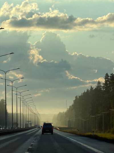 A highway passes through a forest on a cloudy day, with cars driving on the road and streetlights lining the highway. The image was taken in Brilliant, Russia.
