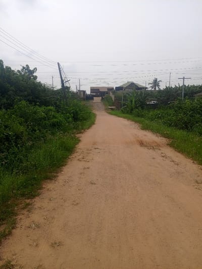 The image captures an unpaved, reddish-brown dirt road ascending gently into the distance in Magboro, Nigeria. The road surface exhibits minor indentations and sparsely distributed green vegetation. Dense green foliage, primarily bushes and broad-leaved plants, flanks both sides of the road, extending into the midground. On the left, a heavily wired, dark utility pole leans significantly to the right, partially obscured by overgrowth. Multiple overhead power lines traverse the sky from left to right. In the background, several buildings with varied roof structures are visible, including one with a dark, possibly pitched roof. A prominent palm tree stands on the right side of the background, amidst additional green vegetation. A light-colored vehicle is partially discernible behind the right-side vegetation in the distance. The sky is uniformly overcast and light gray. No individuals or active interactions are present in the scene.