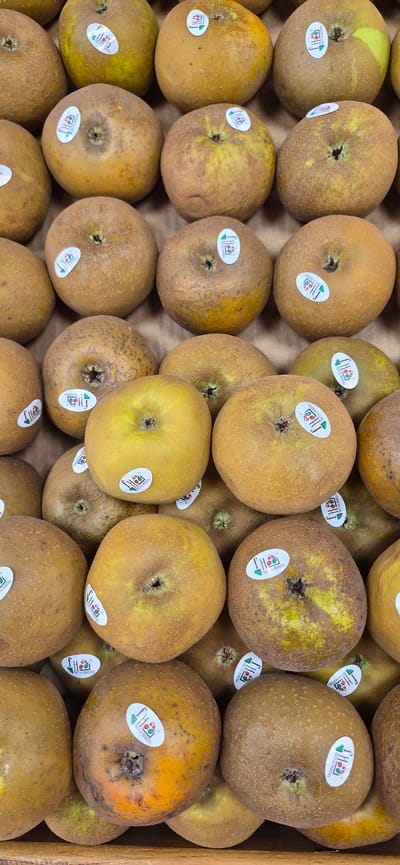 The image shows a close-up, overhead view of a large quantity of ripe apples, possibly of a variety with russeting, packed in a cardboard box. The apples are mostly a warm, golden-brown color with some exhibiting green undertones. Many of the apples have white circular stickers with a green triangular logo and text that appears to read "fh FRUTAS HEREDIA." The apples are densely packed, filling the frame, and the texture of the cardboard is visible between them. The lighting suggests an indoor setting, possibly a market or storage area in Navalcarnero, Spain. There are no people or animals visible in the image.