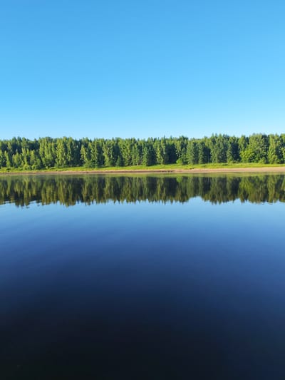 The image depicts a serene natural landscape under a clear blue sky. In the background, a dense line of lush green trees forms a natural barrier along the horizon. In front of the trees, a narrow strip of sandy shore is visible. The foreground is dominated by a calm body of water, likely a river, which perfectly mirrors the trees and sky, creating a symmetrical reflection. The water is dark blue, reflecting the clear sky. The scene appears to be set in a natural, undeveloped area, consistent with the rural or wilderness setting of Bol'shie Mkhi, Russia. No people or man-made objects are present in the image.