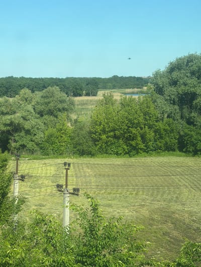 The image depicts a rural landscape under a clear blue sky, likely on the outskirts of Bobrov, Russia. In the foreground, lush green trees and bushes are visible. Behind them, a field of freshly cut hay stretches out, marked with rows from the mowing process. Two concrete utility poles with crossbars and insulators stand in the field, supporting overhead electrical wires that span across the scene. In the middle ground, a dense line of green trees forms a horizon, with a body of water and more trees visible beyond it. The distant background shows more trees and a hazy view of what appears to be buildings. There are no people or animals present in the image, and no discernible actions are taking place. The environment is natural and agricultural, with a touch of infrastructure from the power lines.