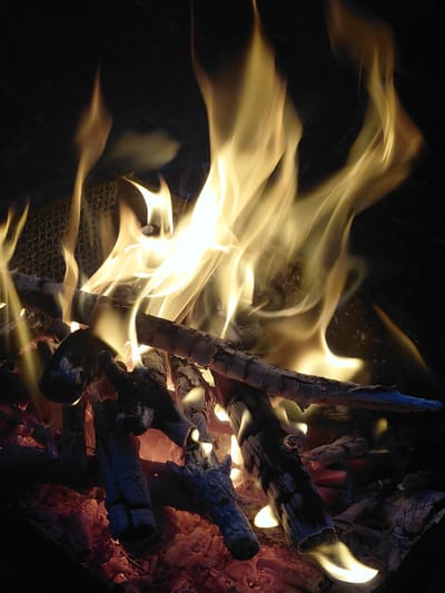 This is a close-up, low-angle, still shot of a campfire in the city of Shamraivka, Ukraine. The image is dominated by bright, yellow and orange flames licking upwards against a dark background. Partially burned logs and embers glow with a reddish-orange hue at the bottom of the frame. The texture of the wood is rough and charred, with some pieces appearing more intact than others. The fire appears to be contained within a fire pit, hinted at by a dark, textured surface visible behind some of the flames, possibly a metal grate or screen. There are no people visible in the image. The scene is one of natural combustion and the visual elements are focused on the dynamic movement of the flames and the textural details of the burning wood.