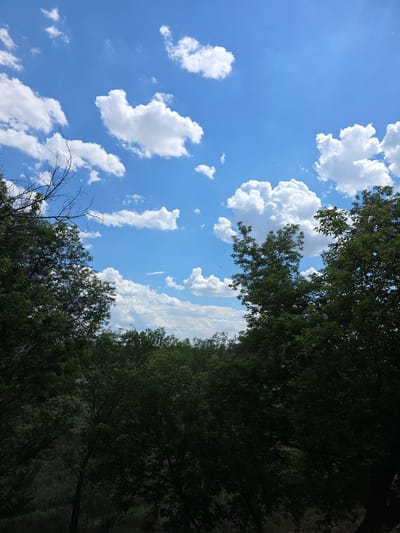 The image shows a bright blue sky filled with scattered white cumulus clouds, suggesting fair weather and daytime. Dense green foliage from trees borders the right and bottom edges of the frame, creating a natural canopy effect. Some bare branches from a dead tree are also visible on the left, contrasting with the lush greenery. The scene is a natural outdoor setting, possibly a park or forest edge, with the sky occupying a significant portion of the composition. The lighting and clear sky indicate a sunny day, likely during the warmer months. The overall mood is peaceful and serene, evoking the feeling of a pleasant outdoor experience. There is no visible text in the image.