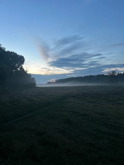 This is a photograph of a misty field at dawn in Novi Sanzhary, Ukraine. The sky is a gradient of deep blue at the top to lighter blue and hints of pink near the horizon. Wispy clouds are scattered across the sky, with one larger, elongated cloud formation in the upper left. A dark silhouette of trees lines the left side of the image, with a dense forest forming a backdrop across the horizon. A light mist or fog blankets the field, obscuring the ground in the distance. A faint, winding path is visible in the lower left quadrant of the field. The overall impression is one of a quiet, serene rural landscape at the beginning of the day.