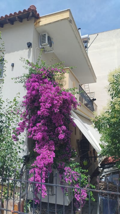 The image depicts the exterior of a building in Νέα Μηχανιώνα, Greece, characterized by bright natural light and a clear blue sky. A prominent feature is a vibrant cascade of purple bougainvillea flowers tumbling down the side of a light-colored building. To the upper left, part of a tiled roof with wooden eaves is visible. Mounted on the building's facade is a white air conditioning unit. To the right, a balcony with a black wrought-iron railing extends from the building, and a white retractable awning is partially deployed over a window or doorway below. Further to the right, a solar water heater is visible on the roofline. Green foliage from trees flanks the building on both sides, with a black metal fence in the foreground. The overall scene suggests a residential or commercial property in a Mediterranean climate.