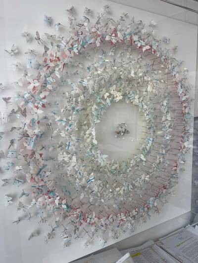 A large, three-dimensional artwork composed of numerous folded paper butterflies is centrally displayed on a plain white wall in an indoor environment, located in the city of Galatina, Italy. The artwork is contained within a protective, reflective clear enclosure, likely glass or acrylic. The butterflies are arranged in an expansive, approximately circular or spiral pattern, expanding outwards from a denser central cluster.
Each butterfly is crafted from cut sections of printed paper, exhibiting patterns of black text on white, interspersed with areas of light blue and light pink. They are individually affixed to the white background with small, dark-colored pins, which create subtle shadows. The overall composition presents a dynamic, swirling effect, with the butterflies appearing to emanate from the center.
Below the artwork, on a surface resembling a desk or counter, several stacks of documents are visible. These papers are predominantly white with black printed text and lines, suggesting administrative or official paperwork. No individuals are present in the scene. The lighting appears to be artificial, reflected in the enclosure's surface.