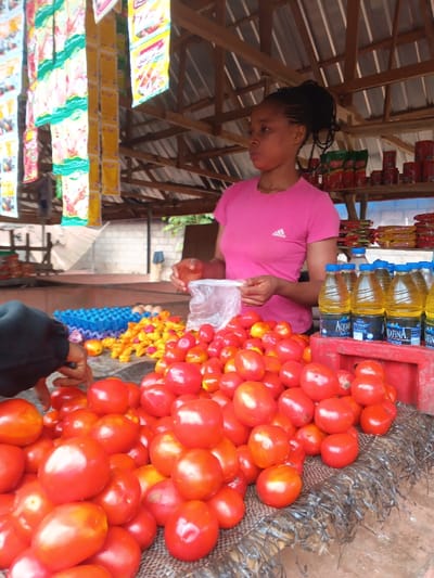 This image captures a market stall in Omicha Umu Awada, Nigeria. A female vendor, wearing a pink Adidas t-shirt and with dark braided hair pulled back, stands behind a counter. She holds a clear plastic bag with both hands, poised as if to bag items. A customer's hand is visible on the left, near a large pile of red tomatoes displayed on a dark, woven surface. Adjacent to the tomatoes on the left, a blue plastic egg crate contains eggs, and a collection of small yellow peppers is also visible. To the right, a red plastic crate holds several clear plastic bottles of "Aquafina" brand cooking oil. Shelves in the background display various packaged goods, and numerous sachets of spices or snacks hang from strings overhead. The stall is constructed with a wooden frame and a corrugated metal roof, providing shelter.