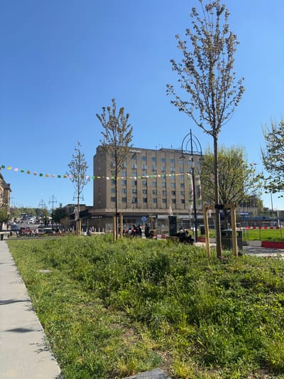 The image shows a street scene in Bradford, UK, at the coordinates 53.793, -1.752. There is a large, multi-story brick building in the background, with a sign on the side reading "The Midland Hotel." There are several trees in the foreground, two of which are large and have been planted in the sidewalk. A group of people is walking across a wide street in front of the building. There are multiple cars parked in the street behind the group of people. The street is bordered on both sides by sidewalks. There is a large patch of grass between the sidewalk and the street. There is a blue sky with a few white clouds. The overall scene is a typical city street with a hotel building in the background.
