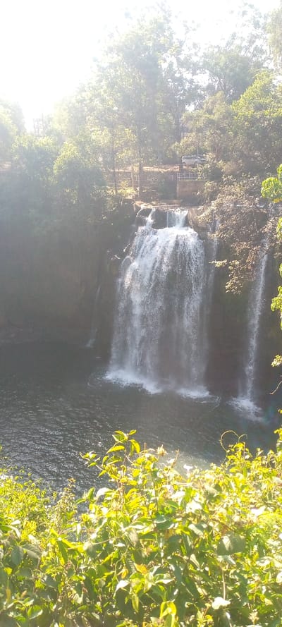 A waterfall cascades into a dark pool surrounded by lush greenery. Dense trees line the top edge of the falls, with a small structure visible amidst the foliage. The scene is bathed in sunlight, creating highlights on the water's surface and illuminating the foliage in the foreground. A serene, natural landscape is captured.